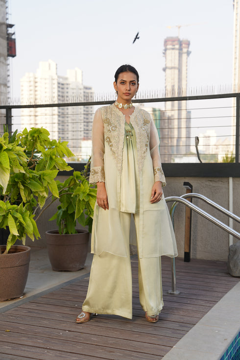 Organza embroidered cape