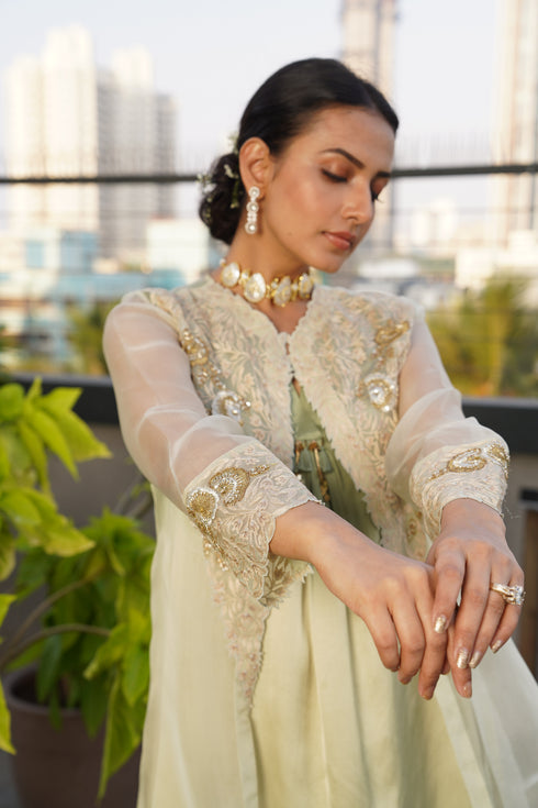 Organza embroidered cape