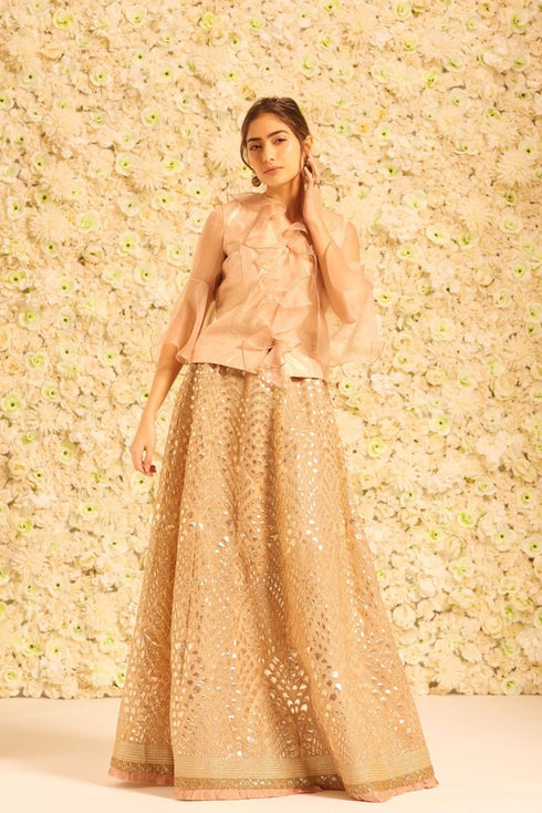 Gota Ghaghra with V Neck Top