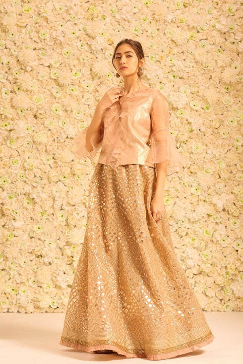 Gota Ghaghra with V Neck Top