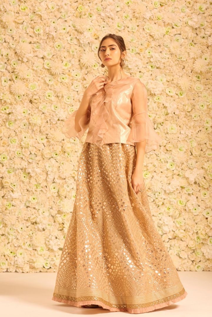 Gota Ghaghra with V Neck Top