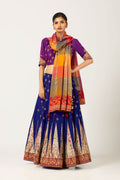 Applique Ghaghra  With Ornate Blouse