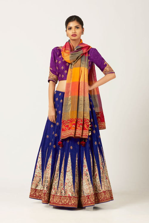 Applique Ghaghra  With Ornate Blouse