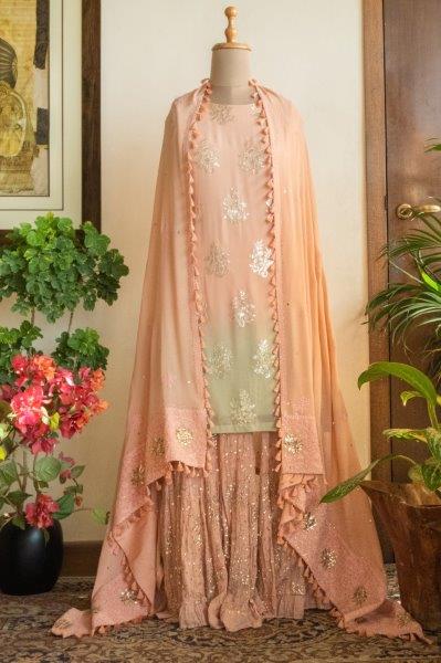 Beige Embroidered Sharara With Kurti And Cape